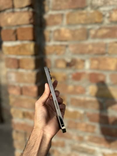 iPhone 13 Pro Max non pta 256gb