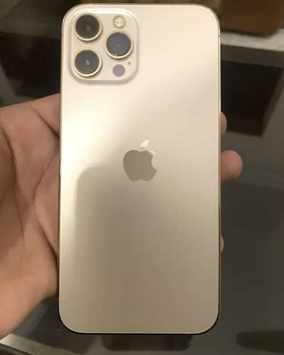 Apple iPhone 12 Pro Max
