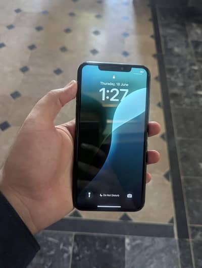 11 Pro Max 256 GB