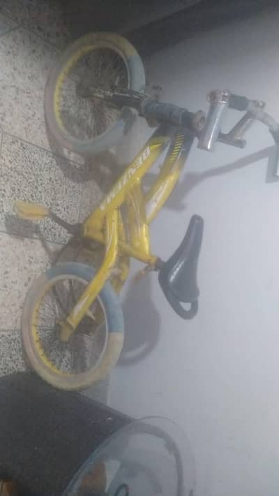 bicycle for kids
