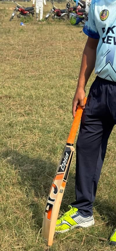 CA-pro 5000 cricket hard ball bat