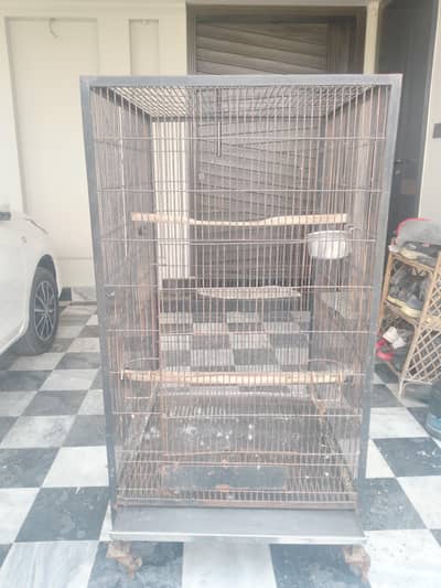 Bird cage for sale