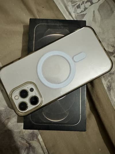 Apple iPhone 12 Pro Max pta