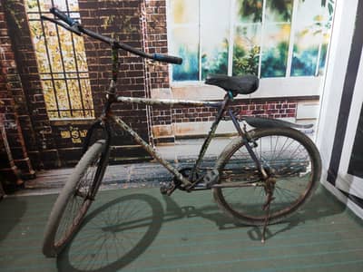phoinex cycle up for sale urgent