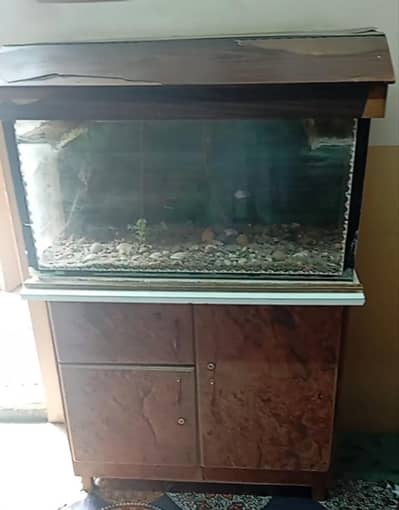 Aquarium with cabnet