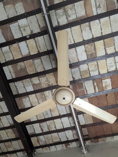 copper fan