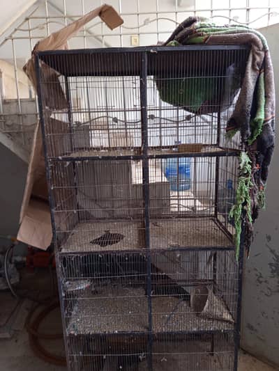 Birds and Hens Cages available bohat ache pinjary hain