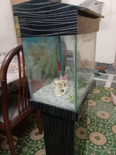 only equrim fish is not available