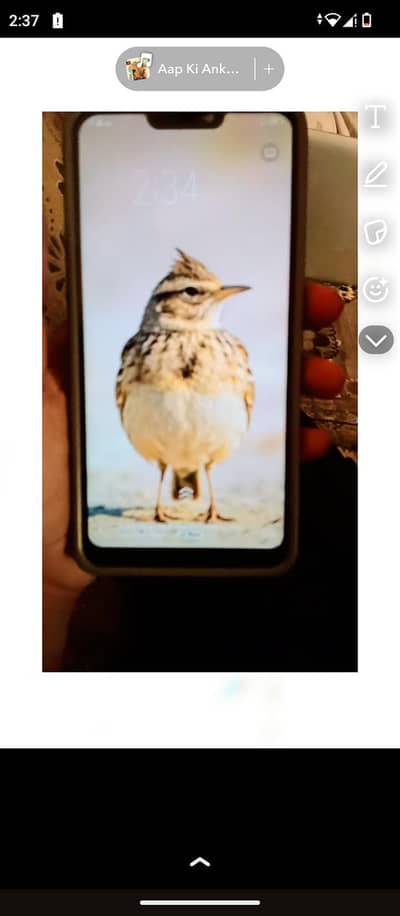 Vivo Y83
