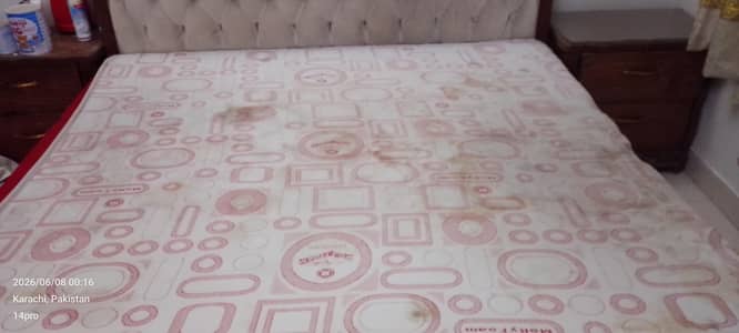 molty foam mattress