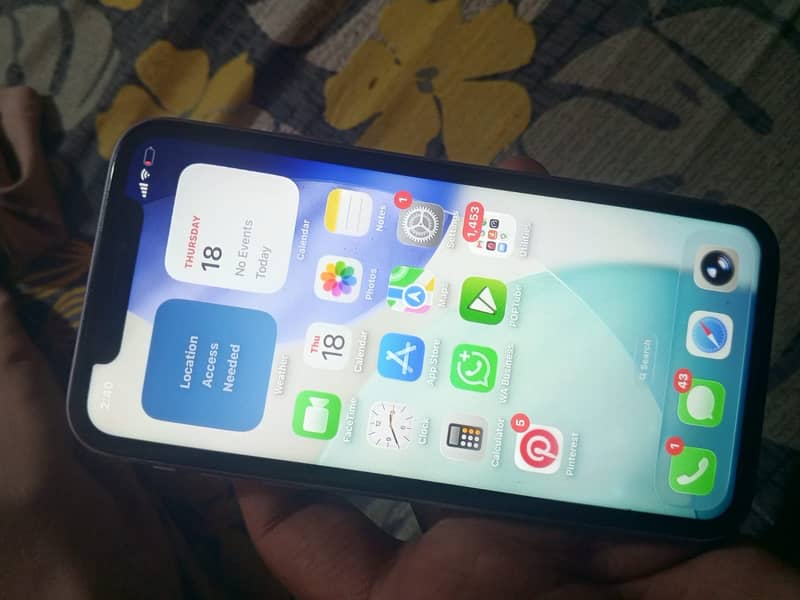 Apple iPhone 11 2