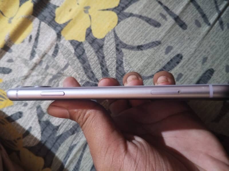 Apple iPhone 11 3