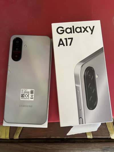 Samsung A17 8/256