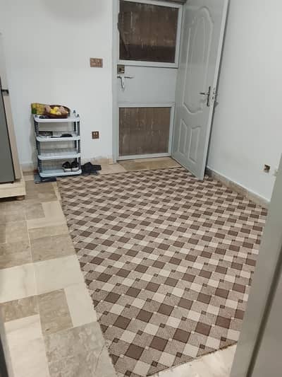 Lounge carpet used for 2 months almost new and a rug.