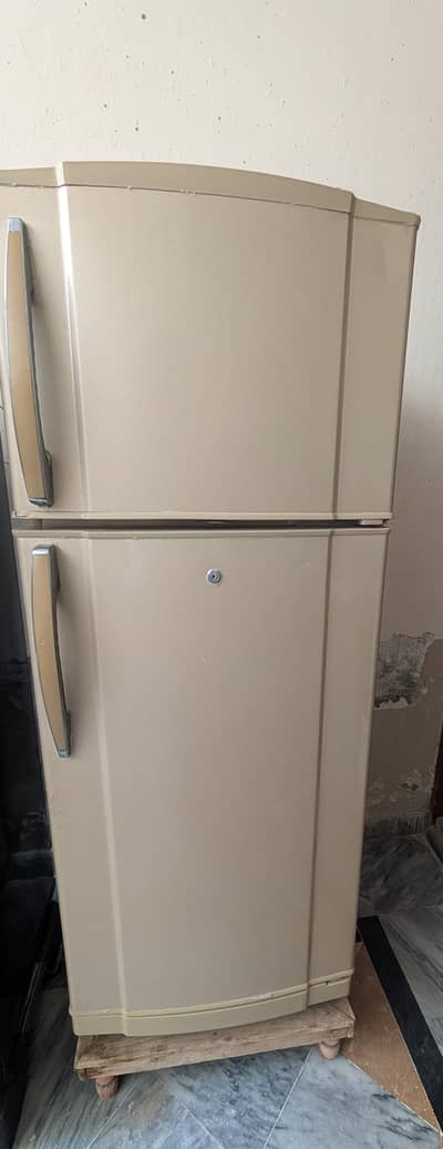 waves company fridge