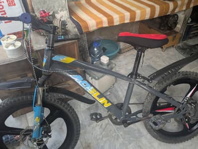Mountain Bicycle for boys and girls