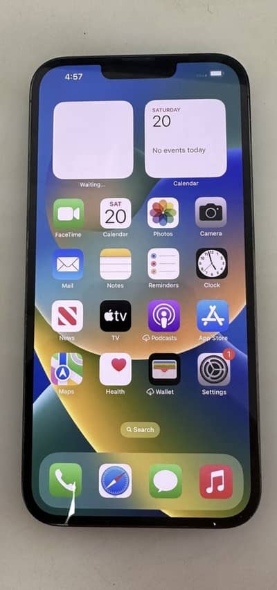 Apple iPhone 13 Pro Max