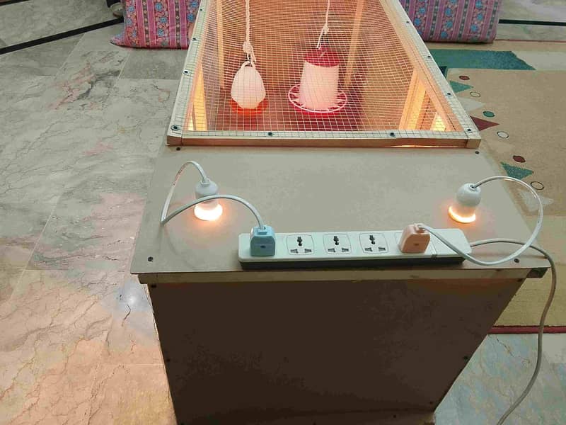 BROODER FOR CHICKS. 1