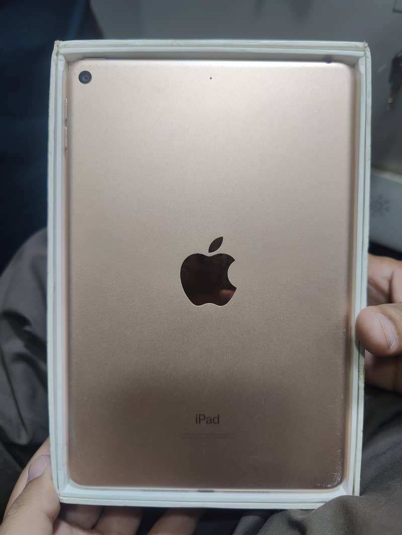 ipad mini 5 0