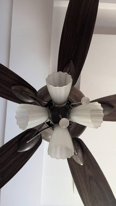 Fancy fan | fan | AC fan