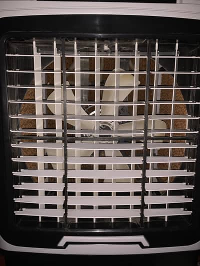 Dawalance Air Cooler