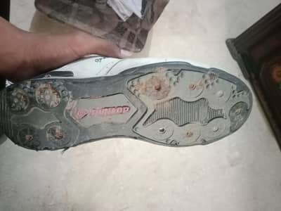 fast bowler spikes
