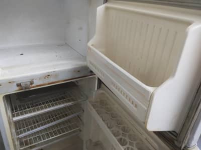 Philips  whirlpool  medium size