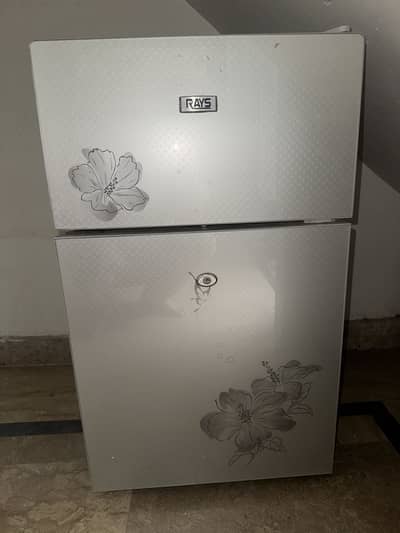 rays fridge