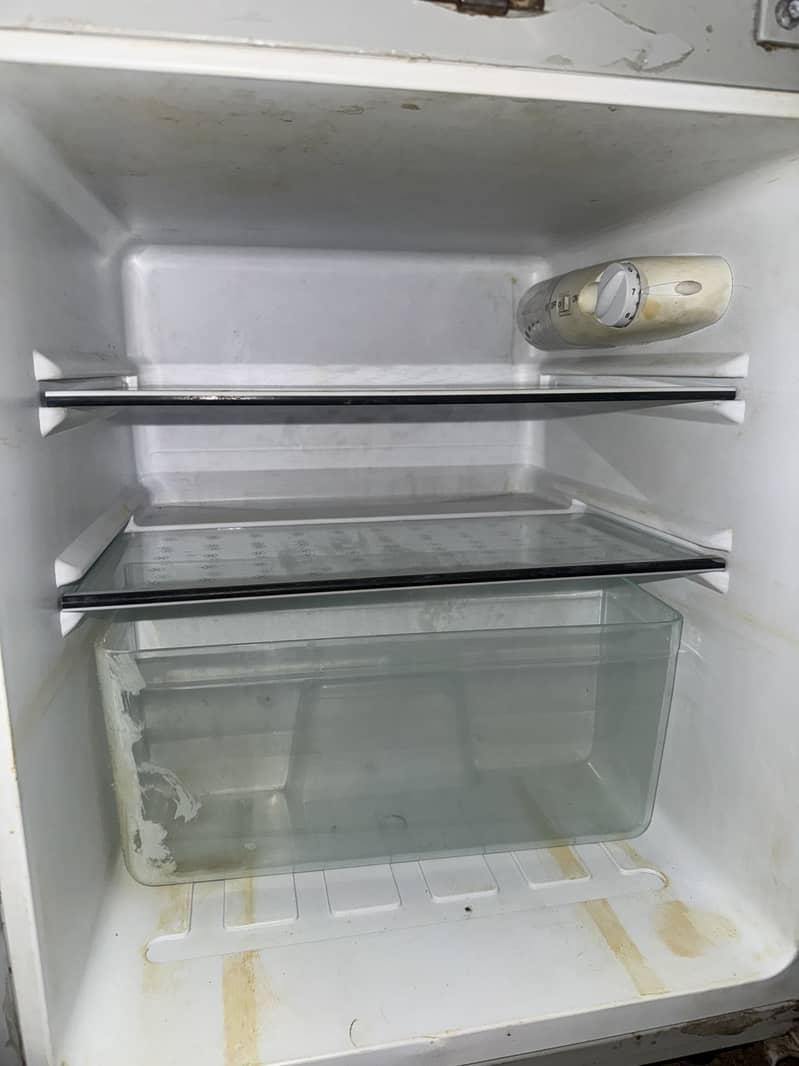 rays fridge 1