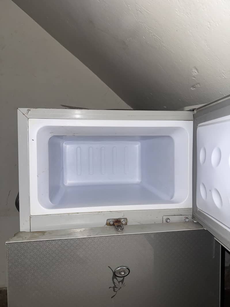 rays fridge 2