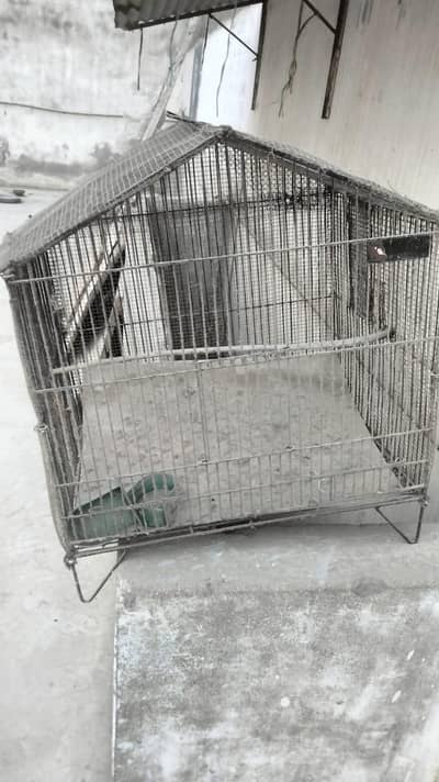 single cages
