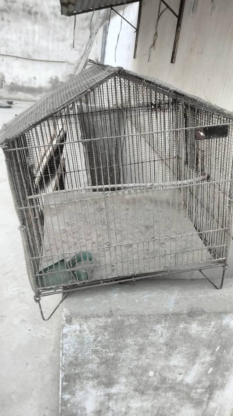single cages 0
