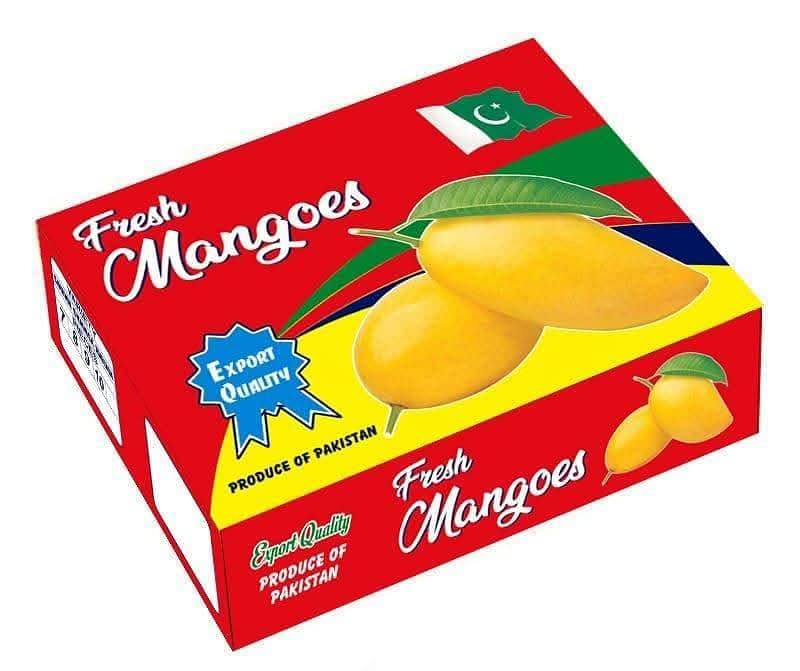 mango 4