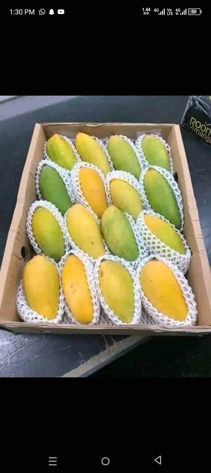mango 7