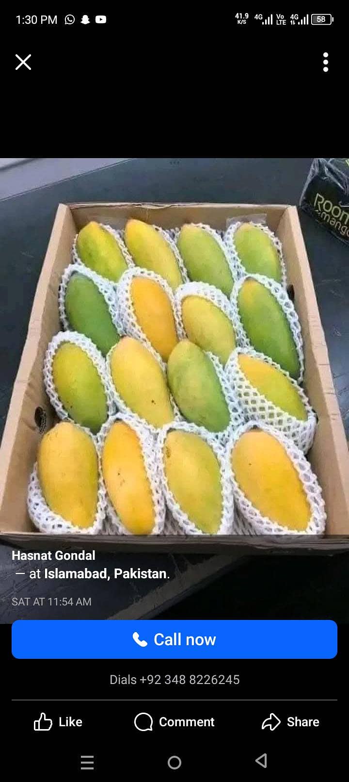mango 8