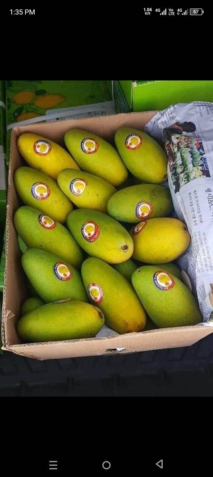 mango 9