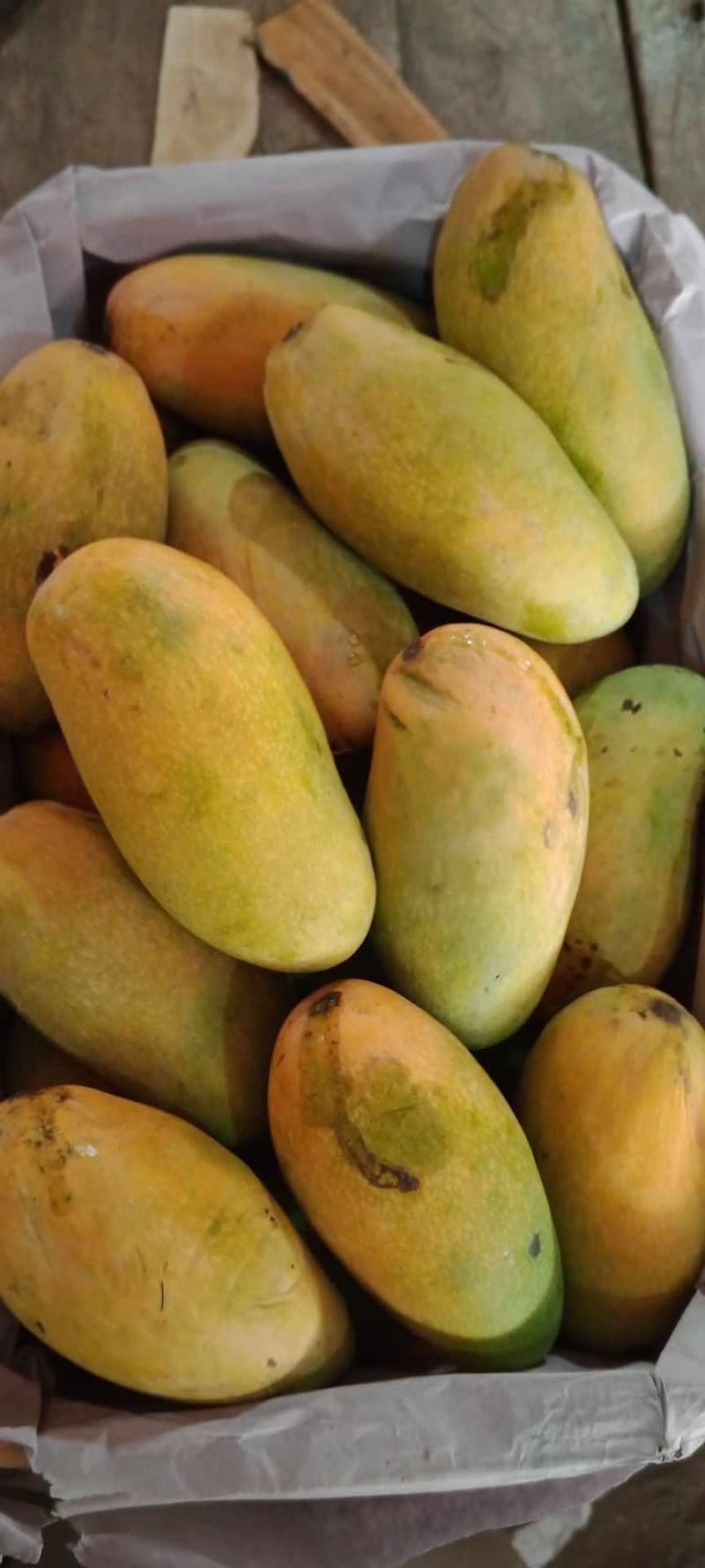 mango 10