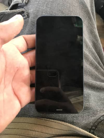 Apple iPhone 12 mini