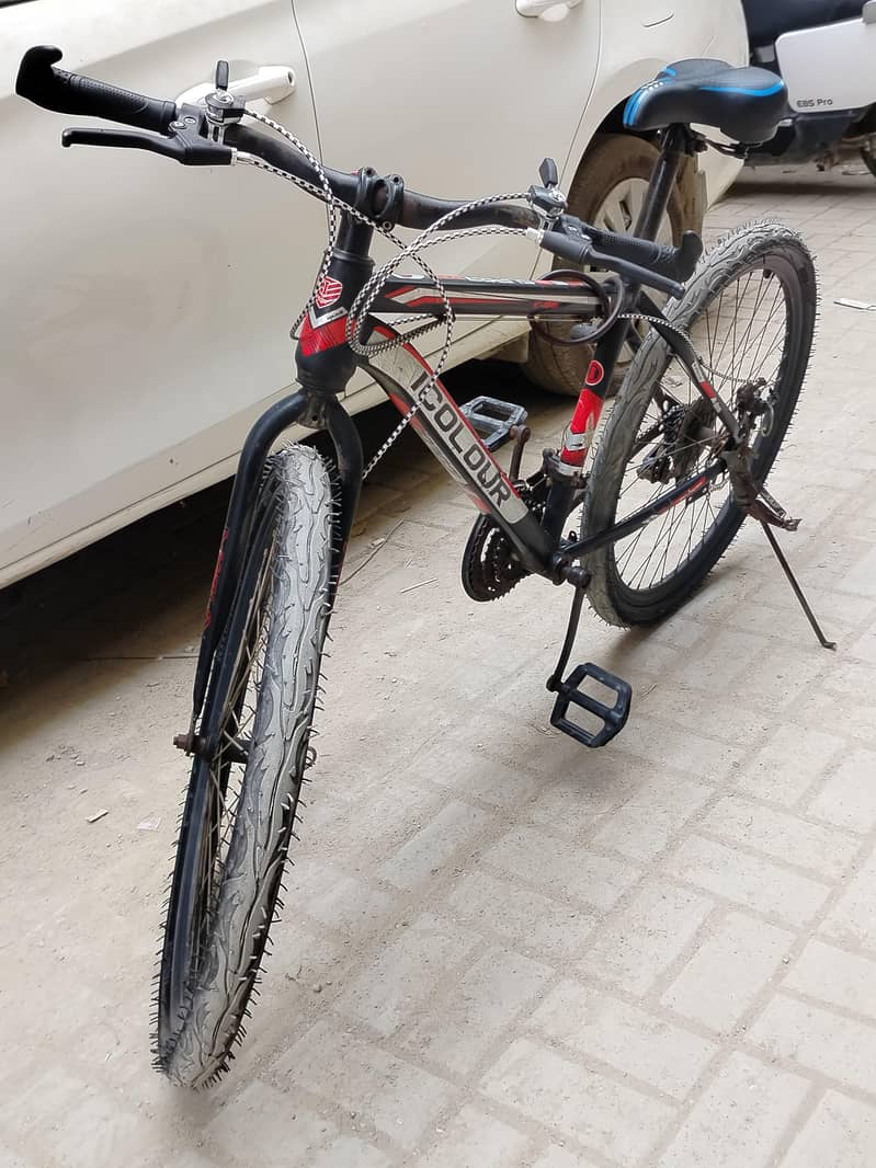Bicycle (imported) 2
