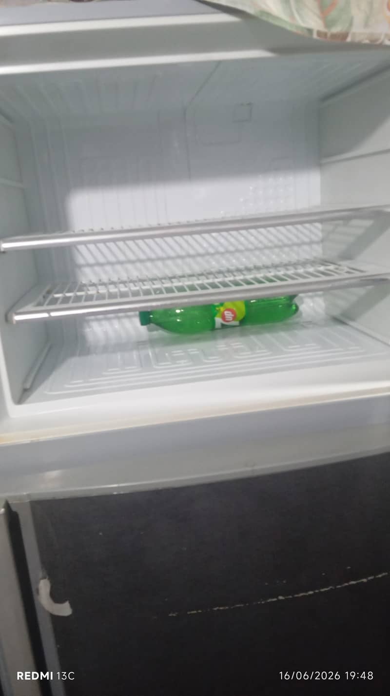 frige 4