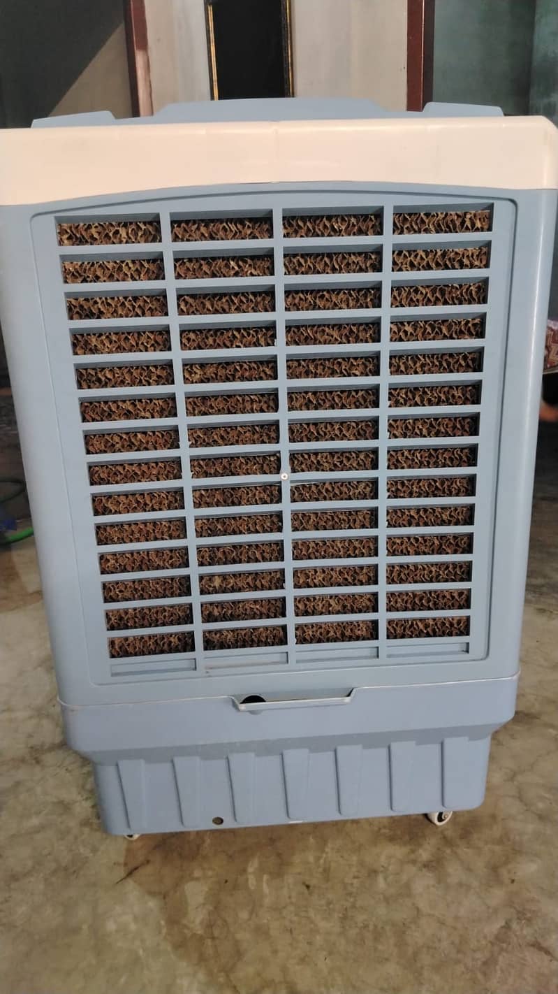 Kentex 2