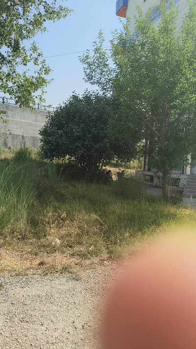 CORNER COMMERCIAL PLOT IN NAVAL ANCHORAGE