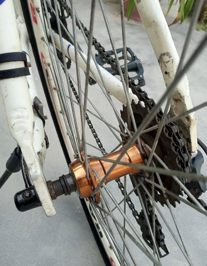 Racing Cycle 7