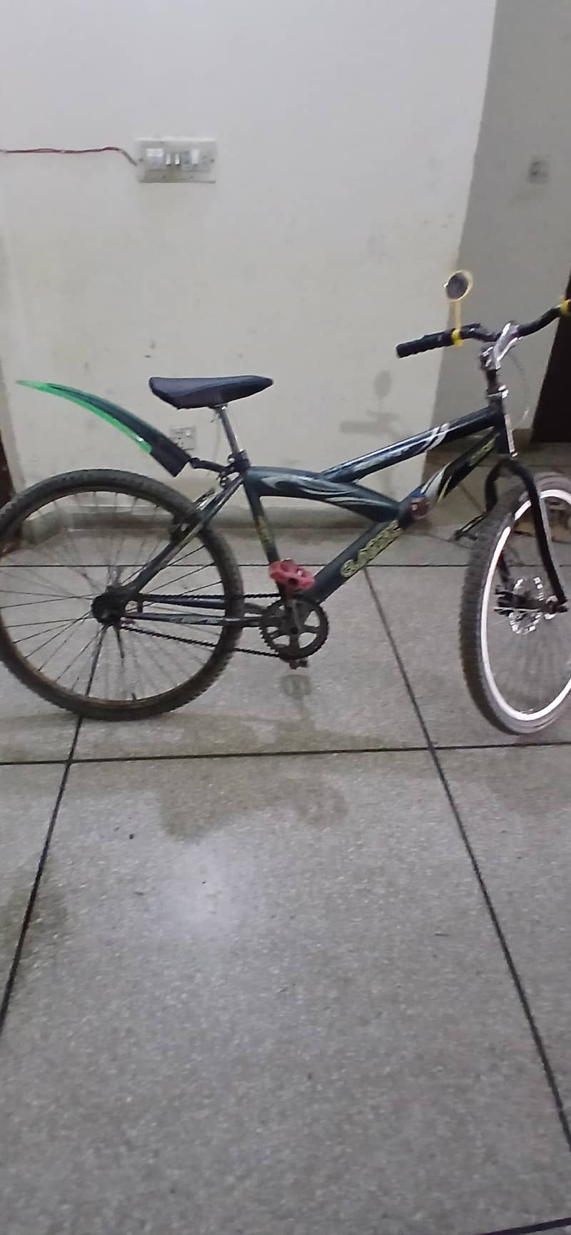 bicycle 1