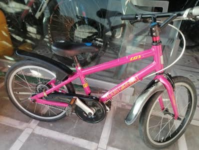 Japanese cycle