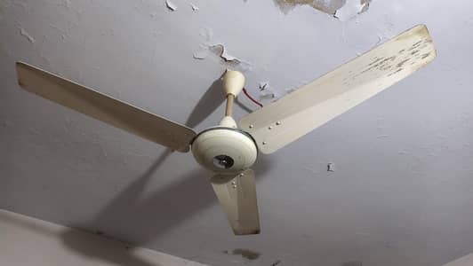 Ceiling Fan Full Size