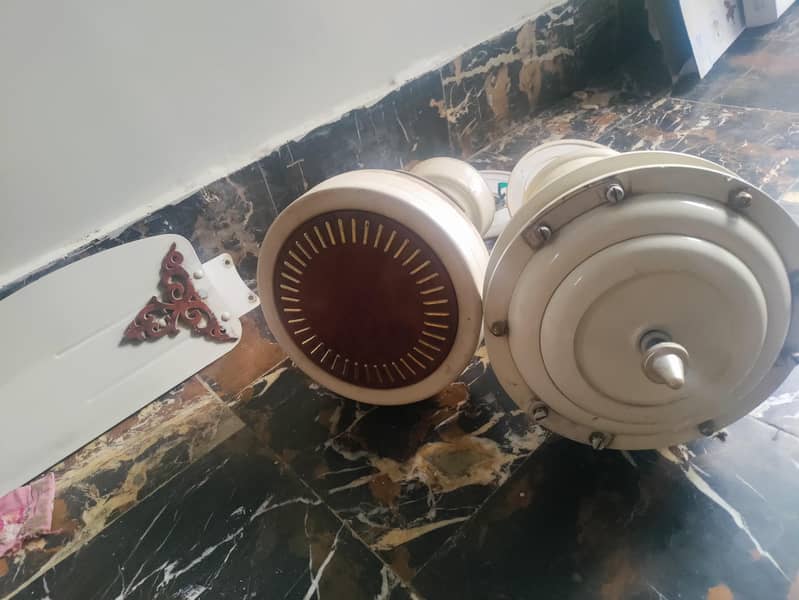 ceiling fans 0