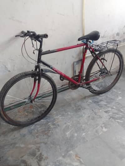 Phoenix bicycle