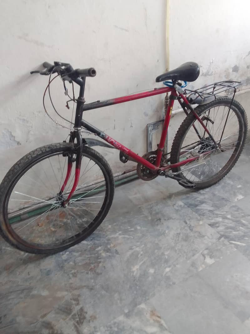 Phoenix bicycle 0