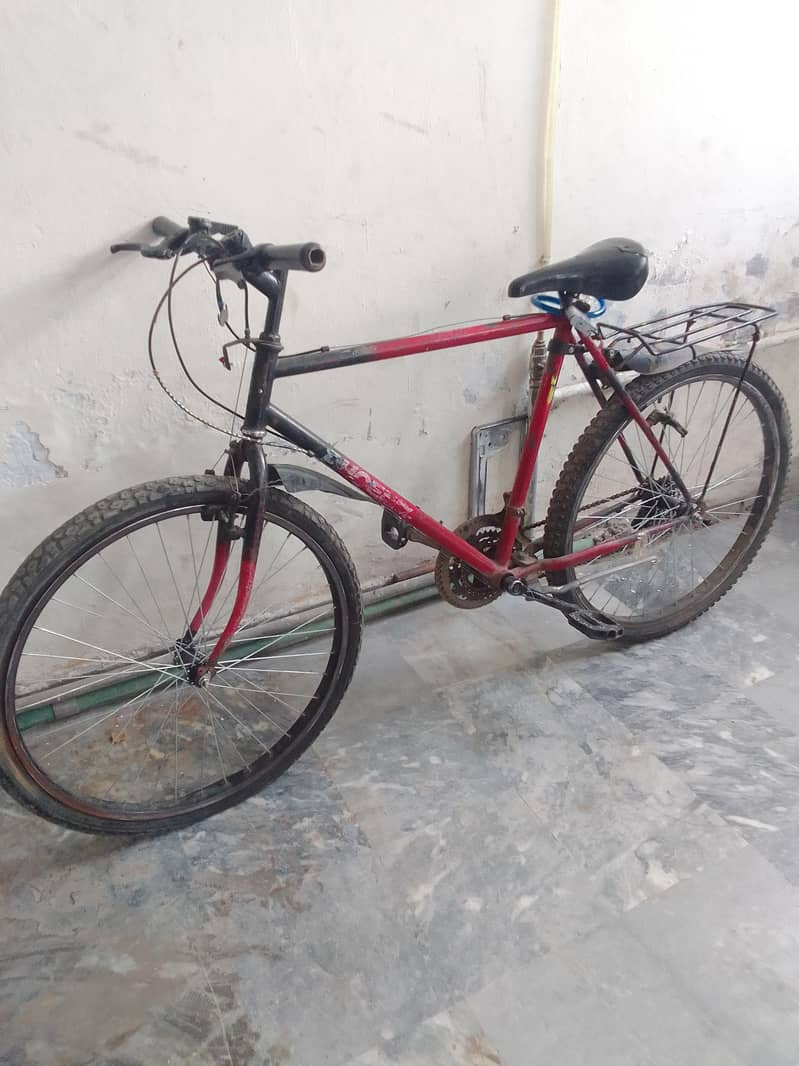 Phoenix bicycle 1